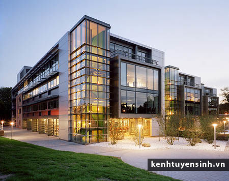 Học phí và Học Bổng trường đại học City University London